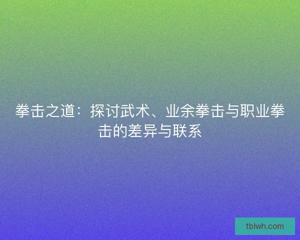 拳击之道：探讨武术、业余拳击与职业拳击的差异与联系